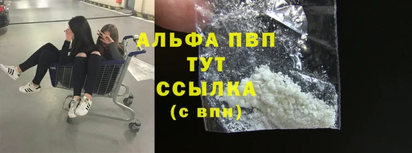 PSILOCYBIN Заводоуковск
