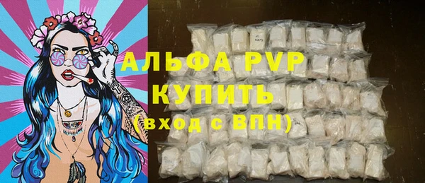 PSILOCYBIN Заводоуковск