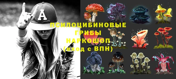 винт Шали